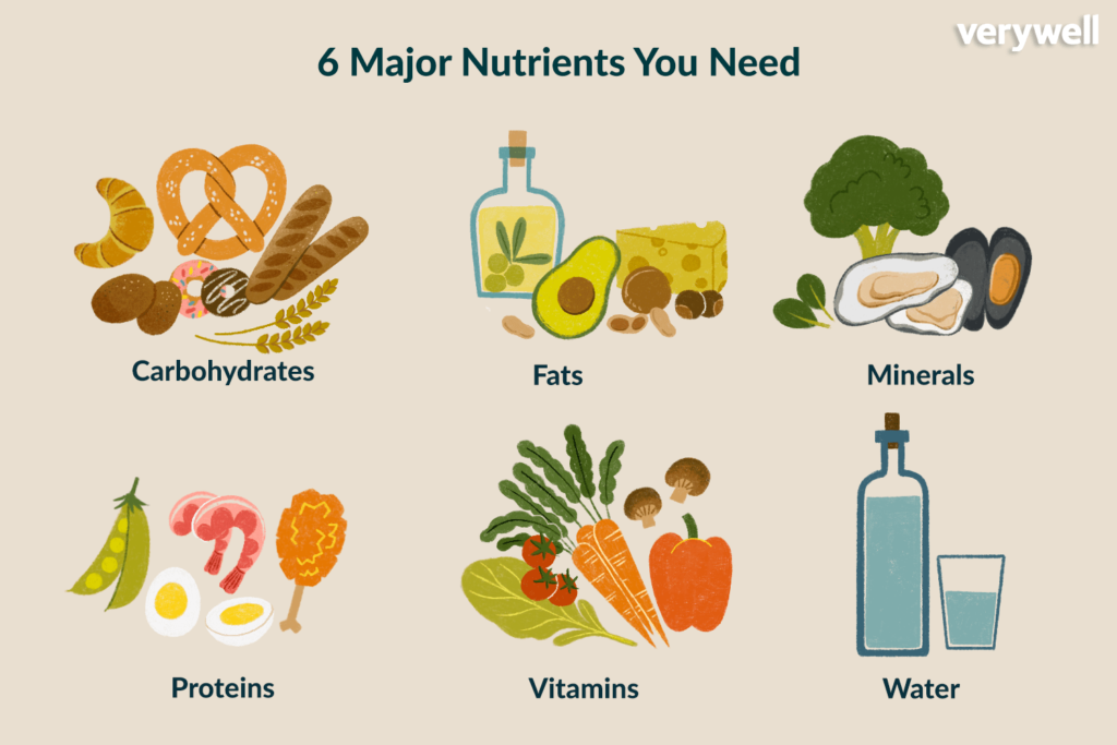 6 Nutrients