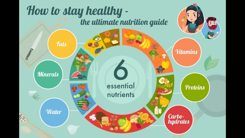 6 Nutrients