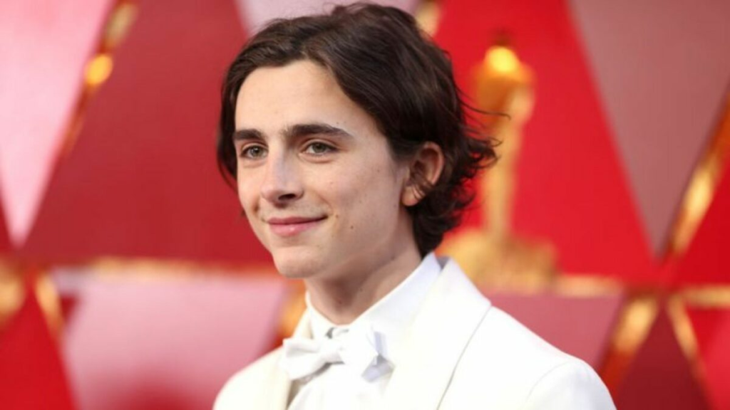 Timothée Chalamet Net Worth